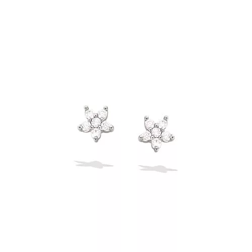 BO AG/RD PUCE FLEUR OXYDES BLANCS