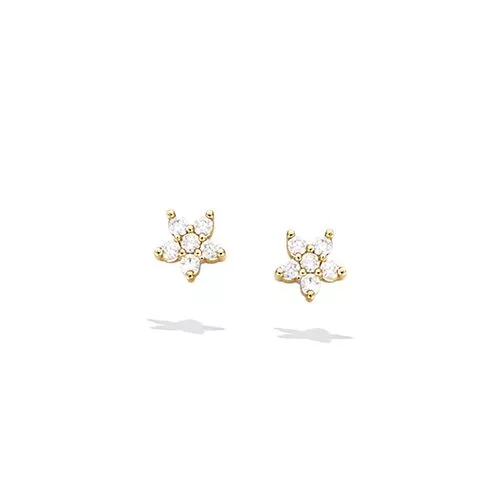 BO P/OR PUCE FLEUR OXYDES BLANCS